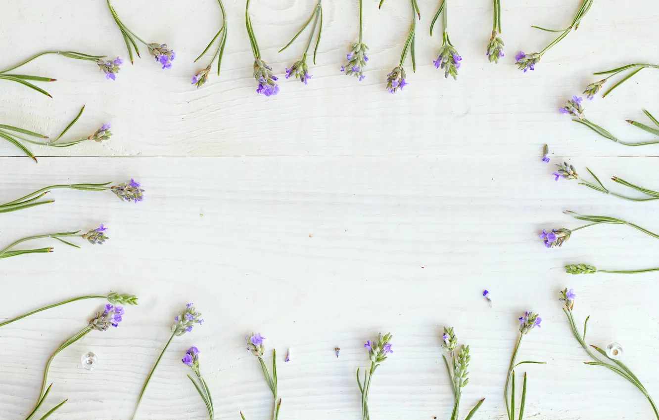 Photo wallpaper flowers, background, Lavender, Twigs