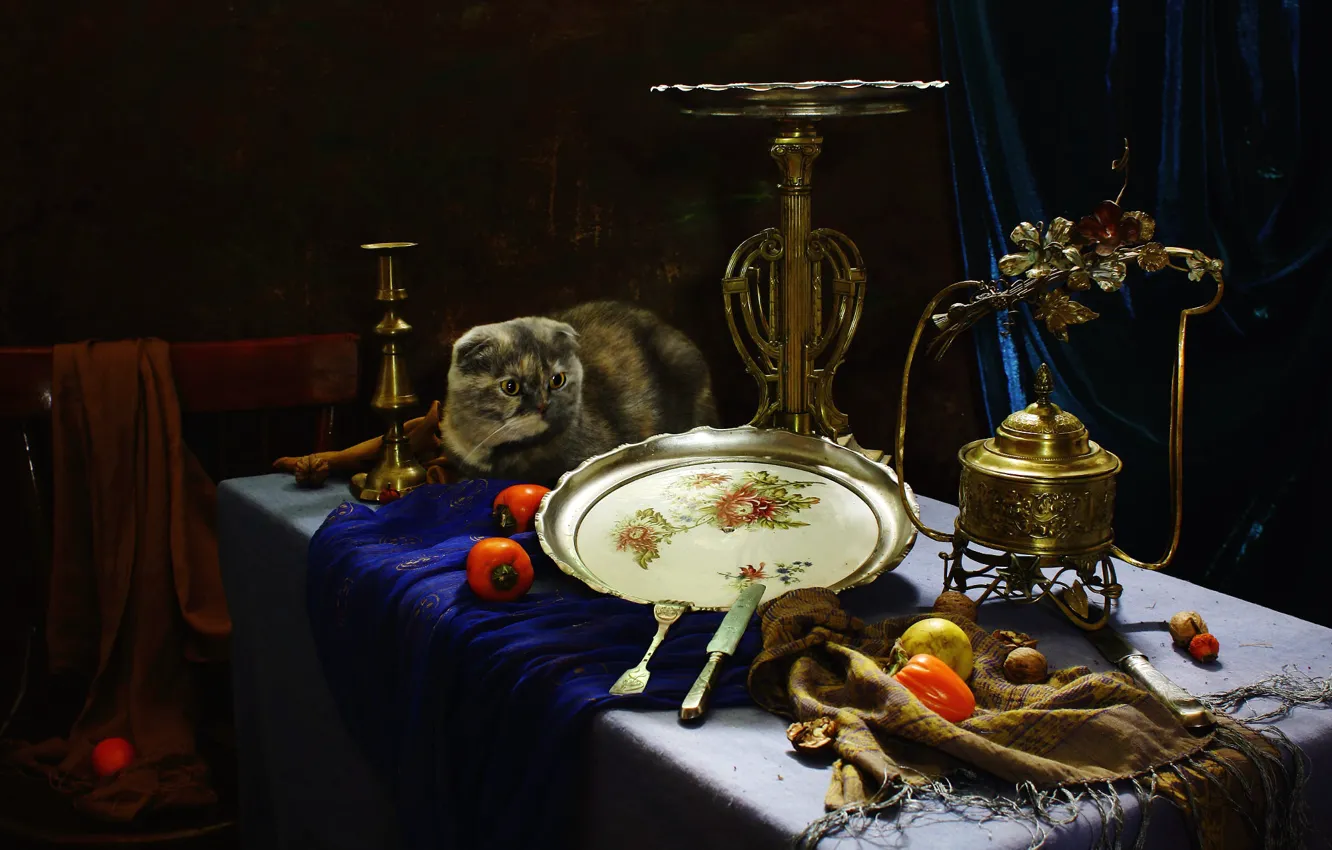 Photo wallpaper cat, cat, look, table, chair, dishes, still life, items