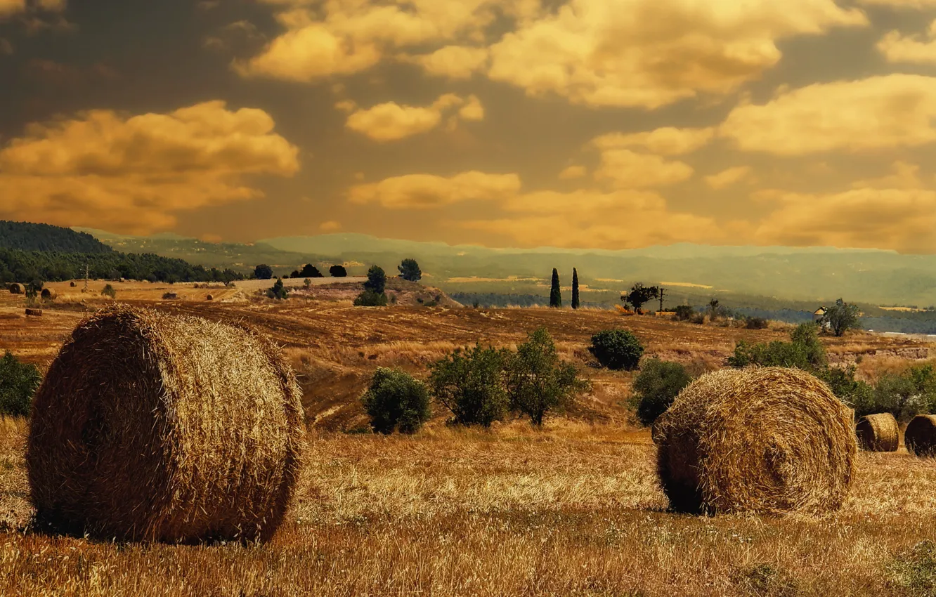 Photo wallpaper stack, meadow, hay, photographer, hay, rolls, Mariluz Rodriguez
