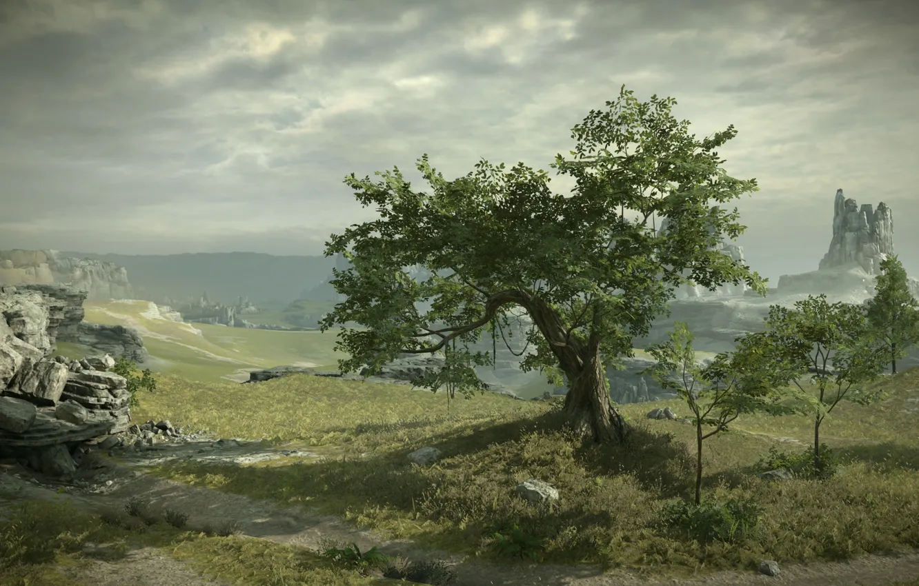 Photo wallpaper trees, rocks, view, Shadow of the Colossus, In the shadow of the colossus, panormama