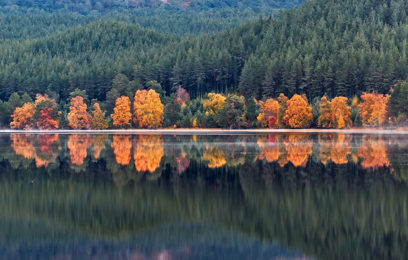 Photo wallpaper autumn, forest, water, trees, mountains, lake, reflection, shore