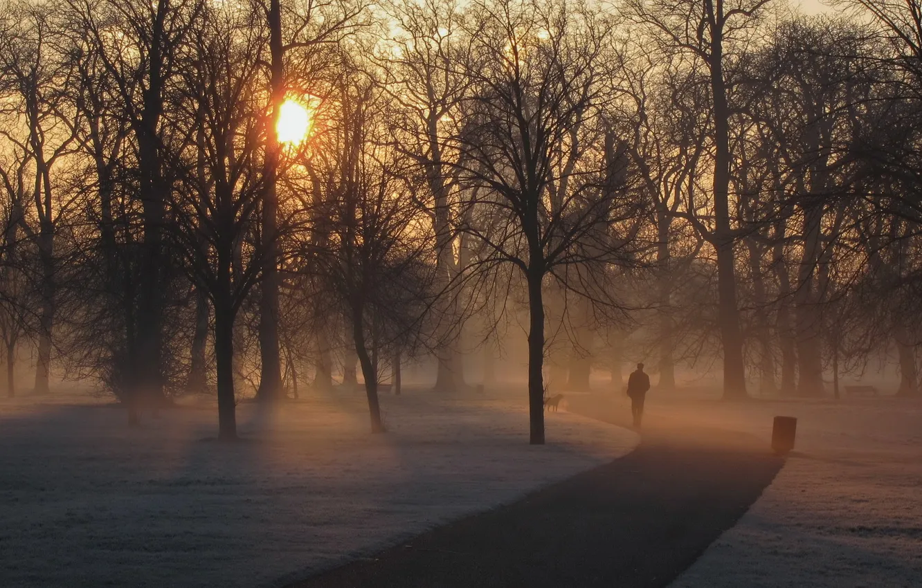 Photo wallpaper London, England, hyde park
