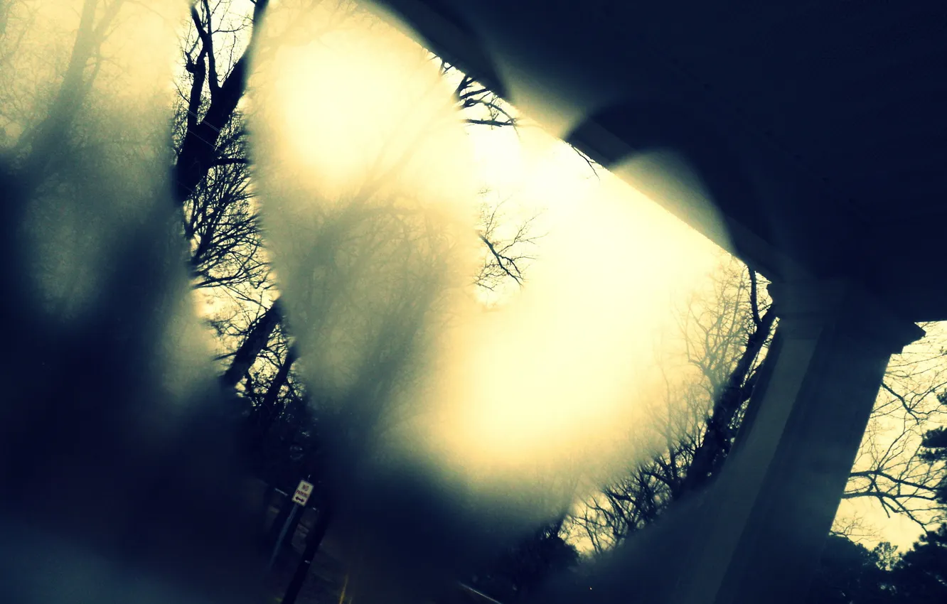 Photo wallpaper glass, trees, background, heart