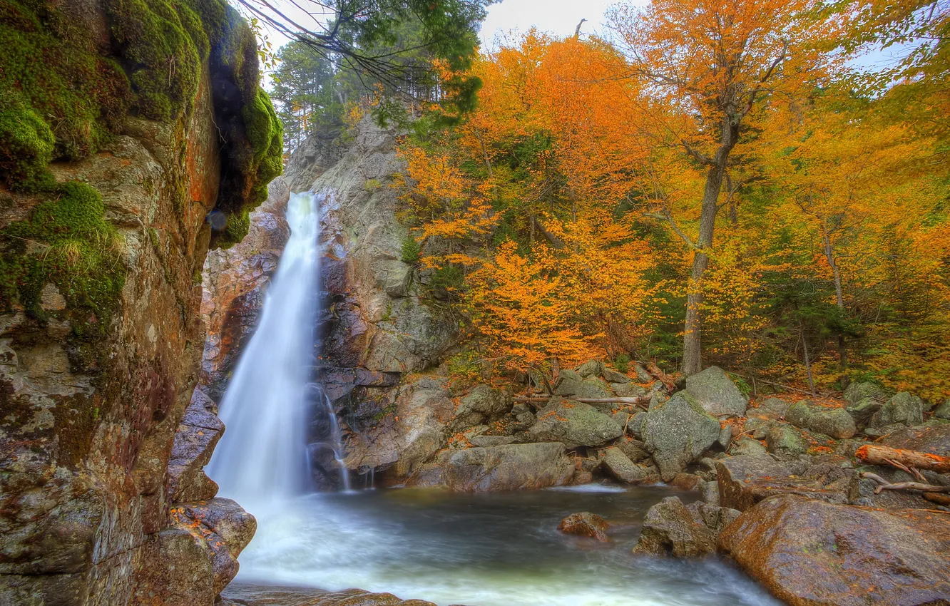 Photo wallpaper autumn, nature, photo, waterfall, USA, Glen Ellis, New Hampshire
