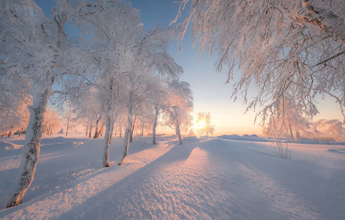 Photo wallpaper winter, snow, trees, dawn, morning, Russia, Perm Krai, White mountain