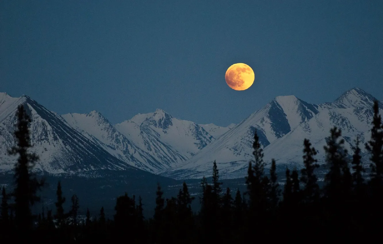 Photo wallpaper winter, the sky, snow, trees, mountains, rocks, the moon, the evening