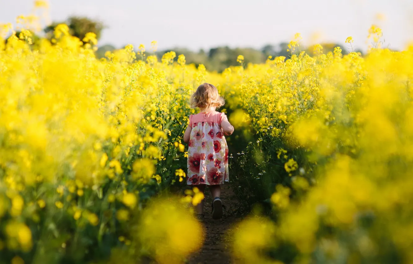 Photo wallpaper field, mood, girl, rape