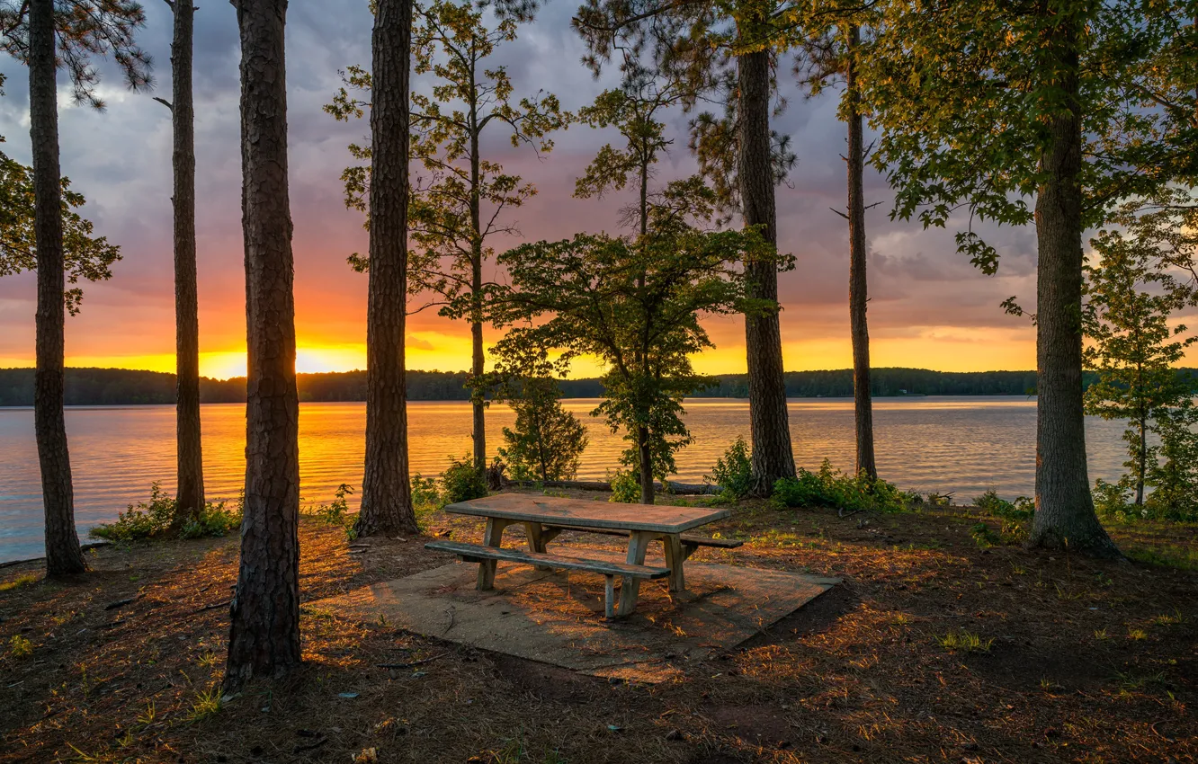 Photo wallpaper forest, sunset, lake, shore