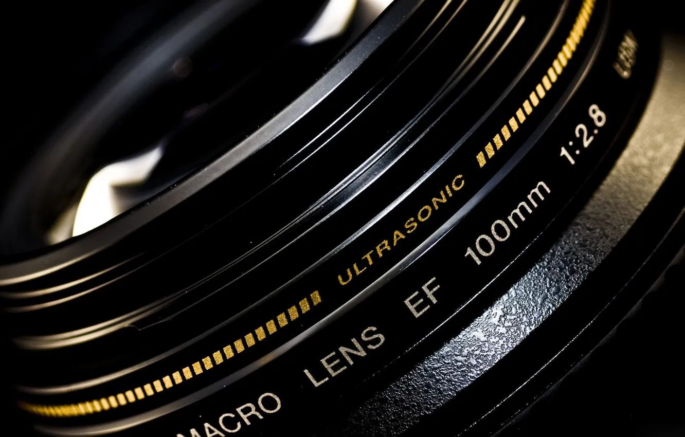 Photo wallpaper macro, lens, macro, Canon