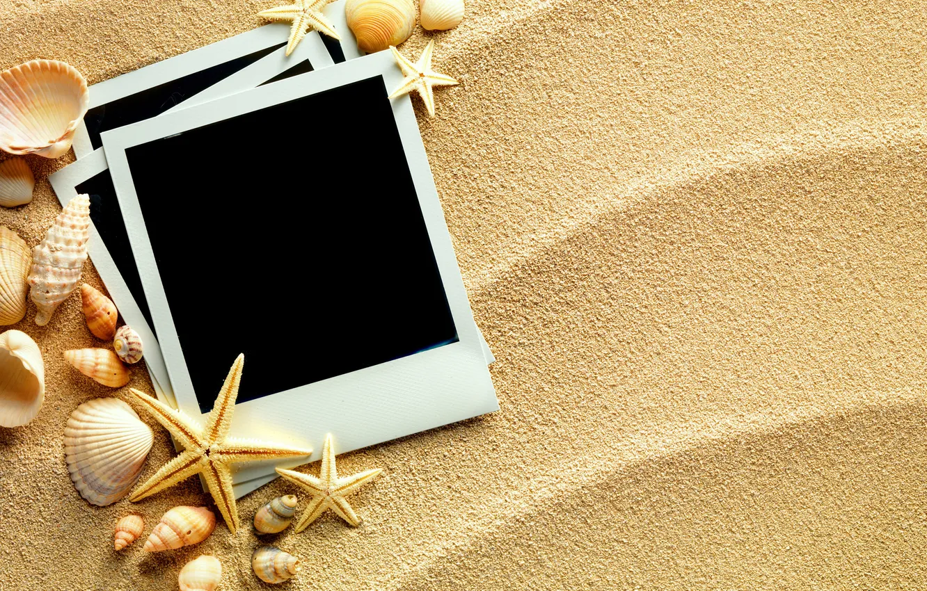 Photo wallpaper sand, shell, starfish, sand, postcard, shells, starfish, postcard