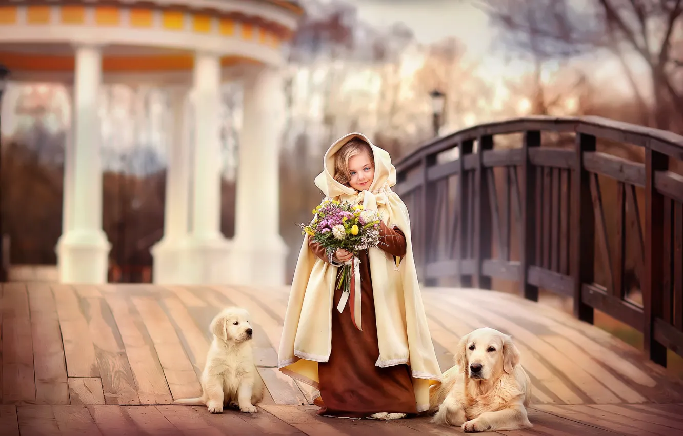 Photo wallpaper bridge, dog, bouquet, girl, outfit, puppy, Labrador, lady