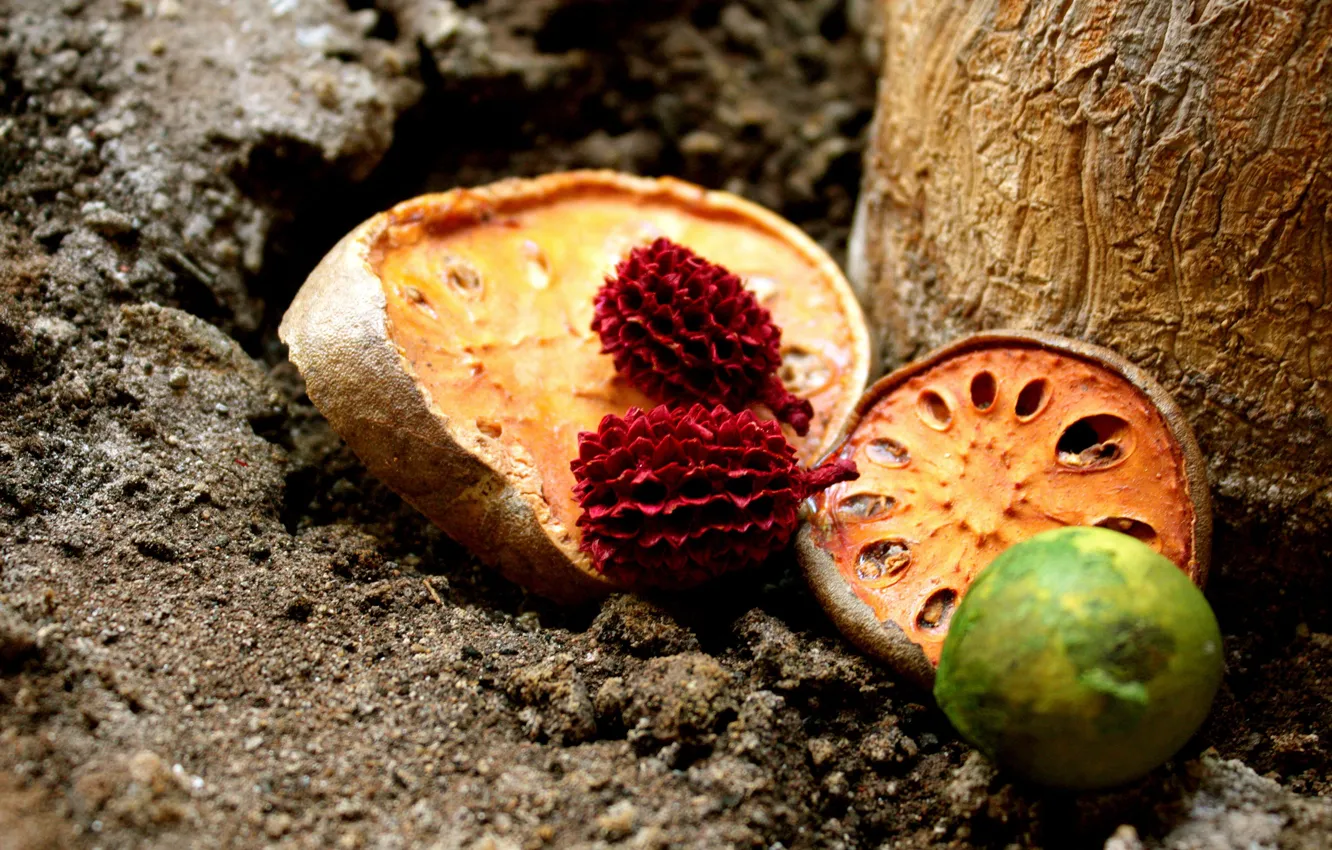 Photo wallpaper earth, fruit, fruit