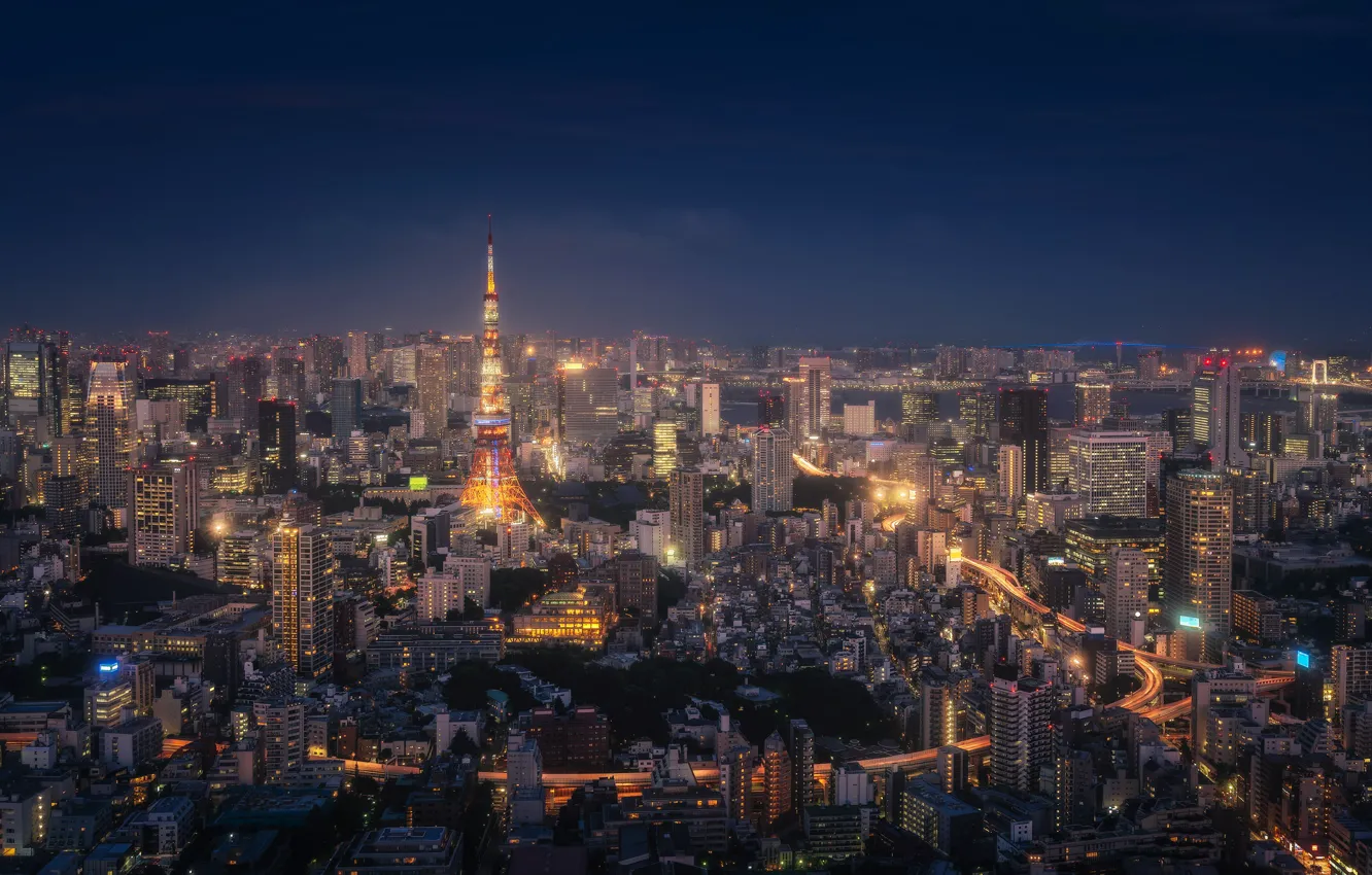 Photo wallpaper the sky, night, the city, lights, view, building, skyscrapers, Japan