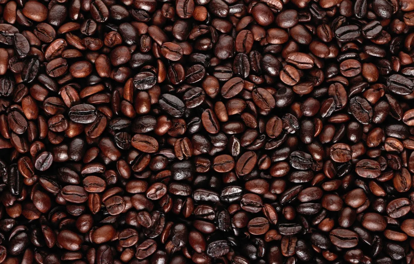 Photo wallpaper a lot, coffee beans, Arabica