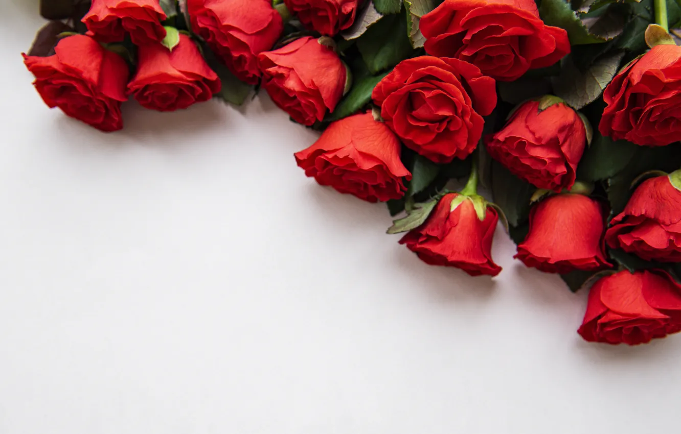 Photo wallpaper roses, bouquet, red, beautiful