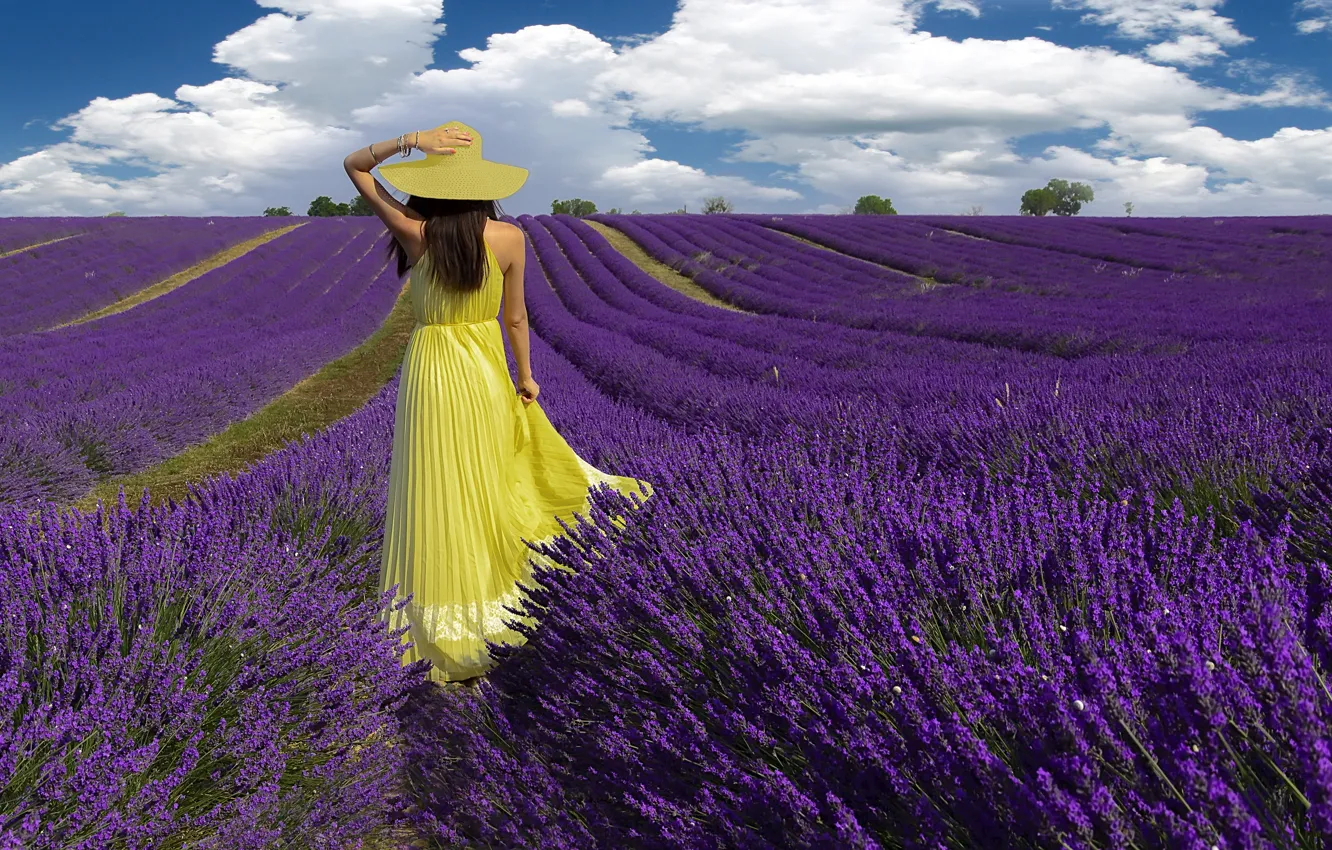 Photo wallpaper field, summer, girl, lavender