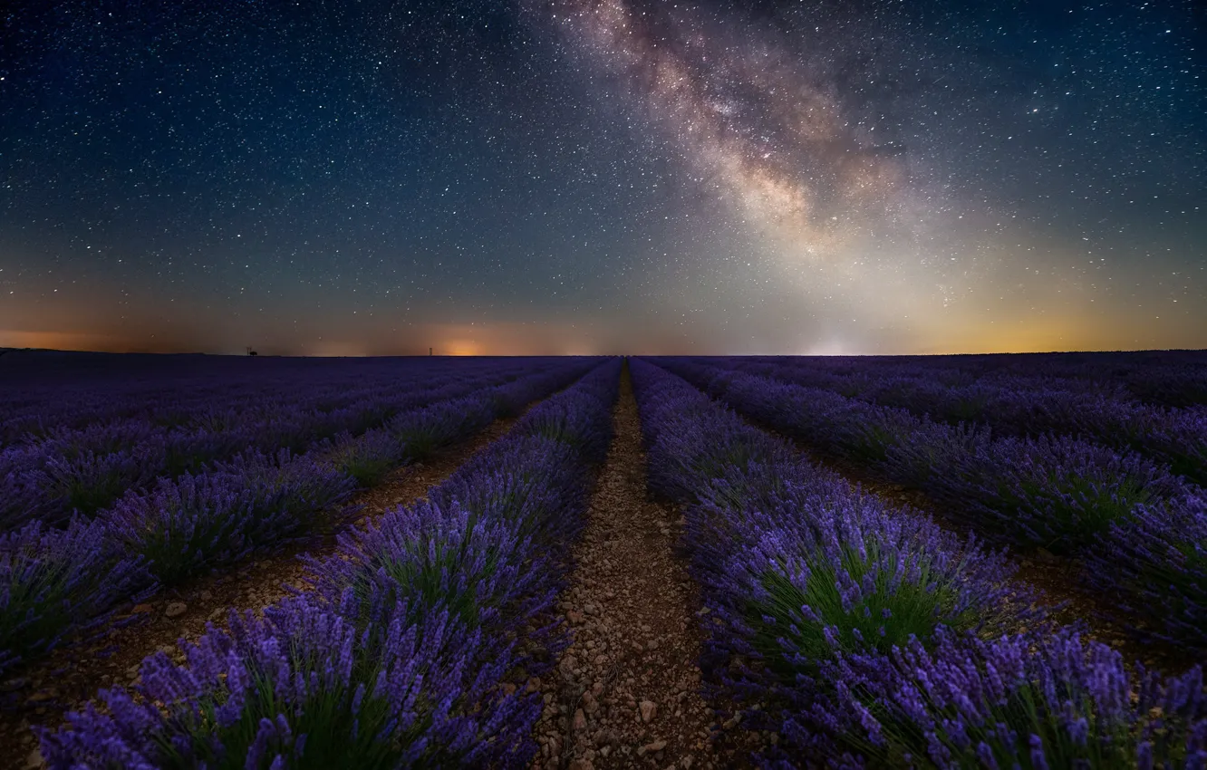 Photo wallpaper field, summer, the sky, stars, flowers, night, stones, dal