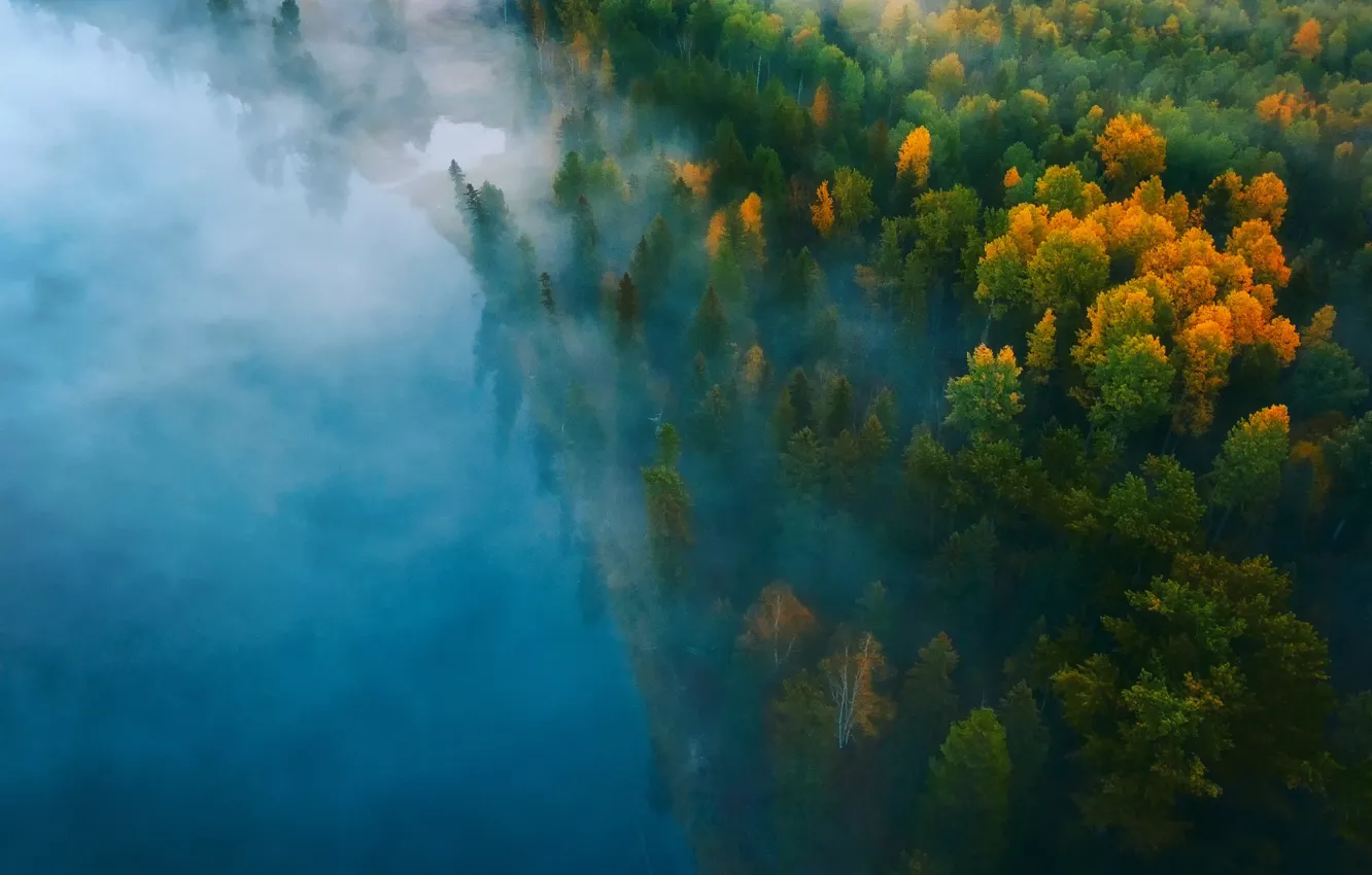 Photo wallpaper autumn, forest, water, nature, fog, paint, haze