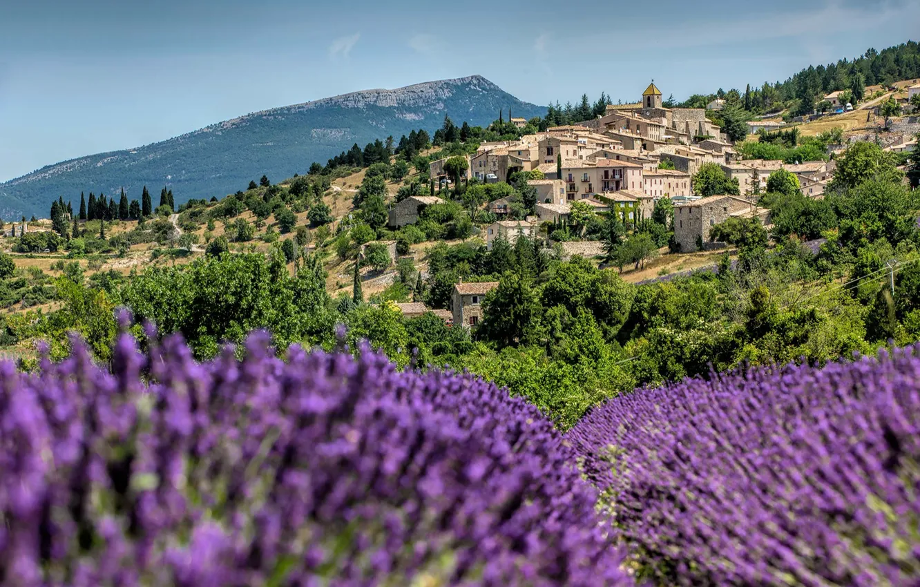 Photo wallpaper France, village, lavender, Provence
