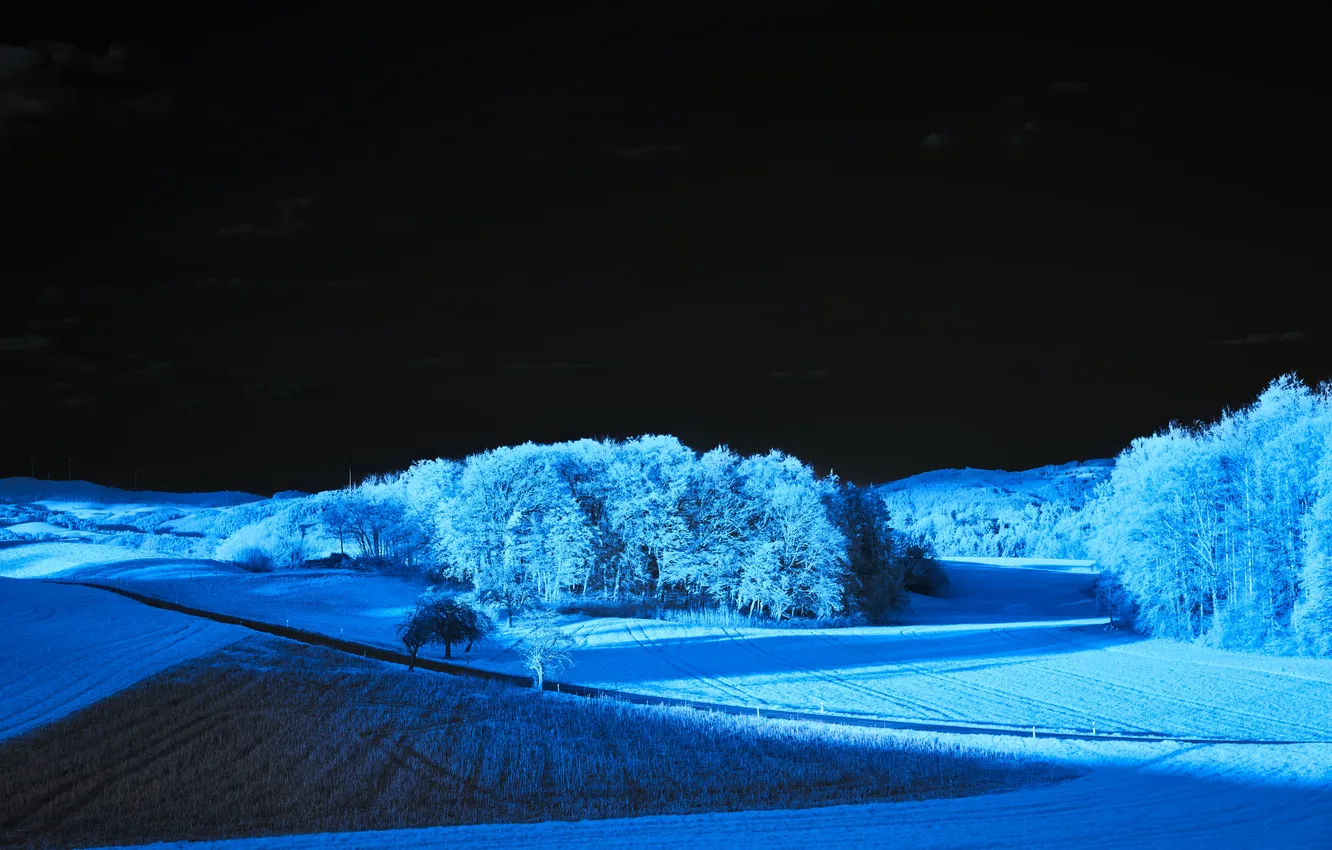 Photo wallpaper field, blue, night, serenity, starry