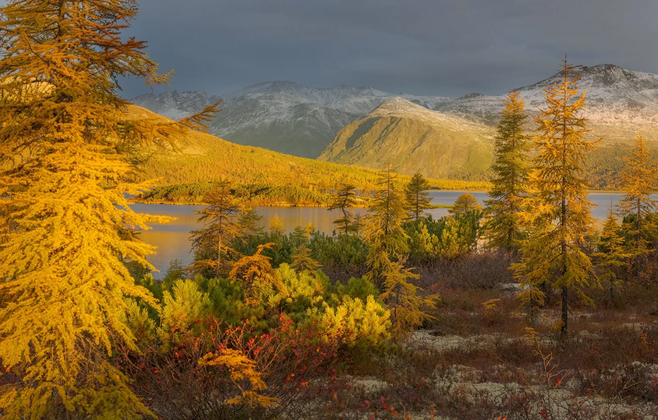 Photo wallpaper autumn, forest, landscape, mountains, nature, morning, Vladimir Ryabkov, Kolyma