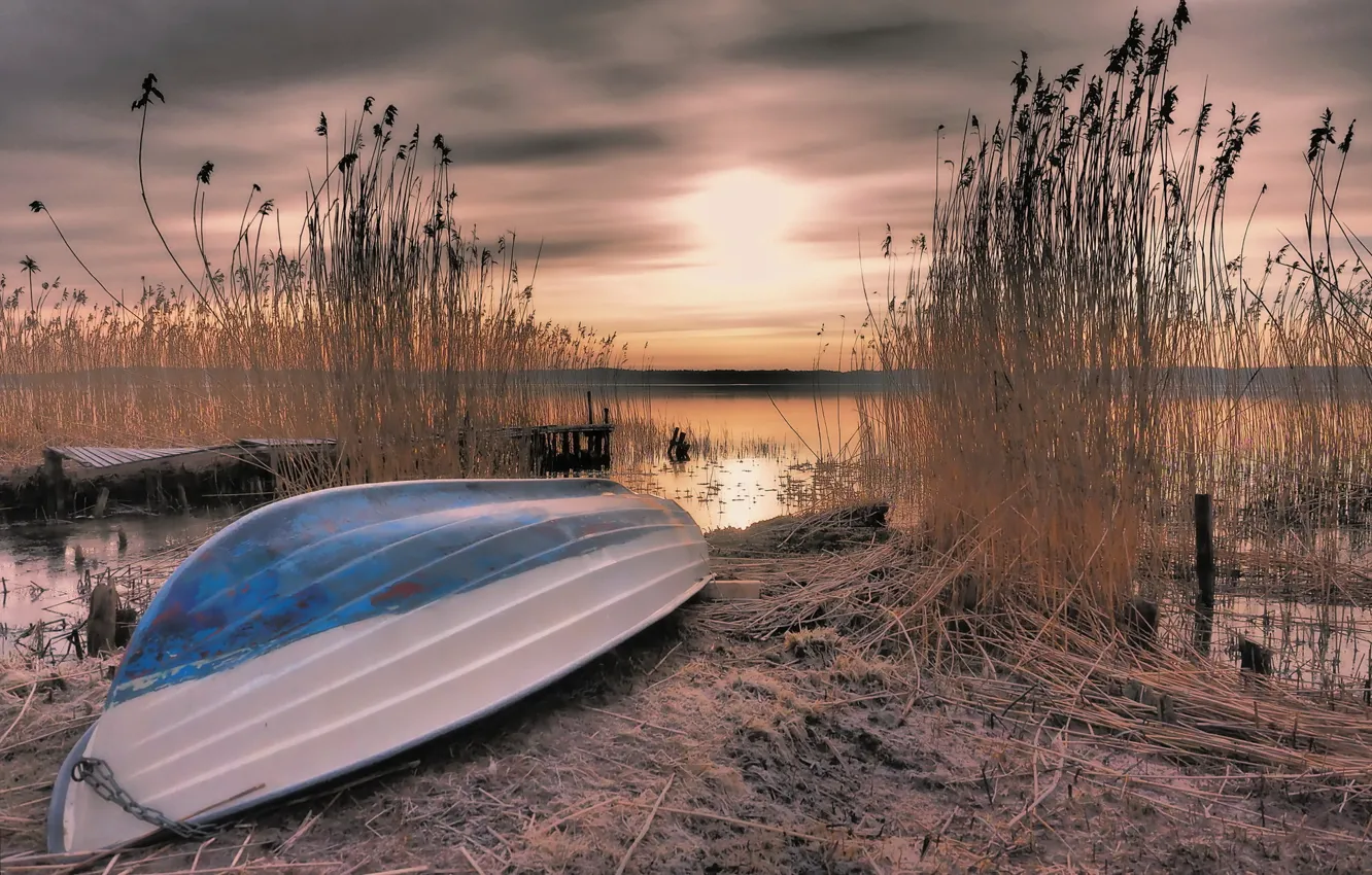Photo wallpaper sunset, lake, boat, reed