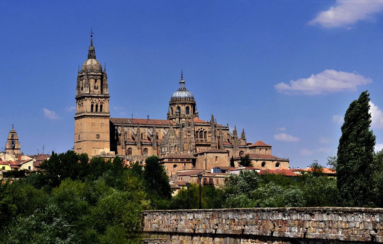 Photo wallpaper the sky, trees, the city, Cathedral, Spain, Salamanca