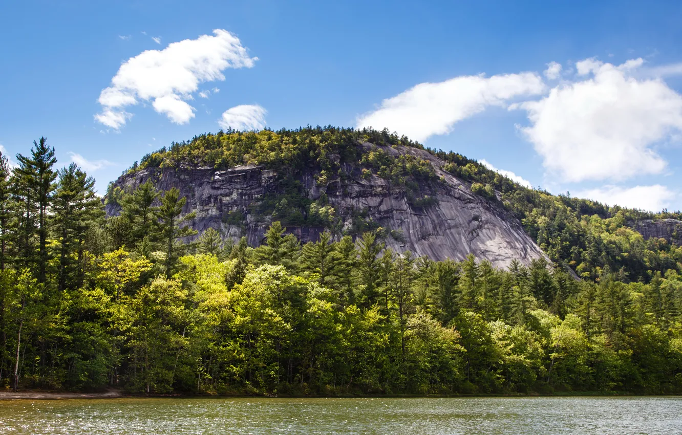 Photo wallpaper forest, the sky, clouds, trees, mountains, river, rocks, shore