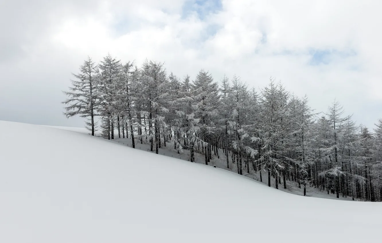 Photo wallpaper winter, harmony, Korean Landscape
