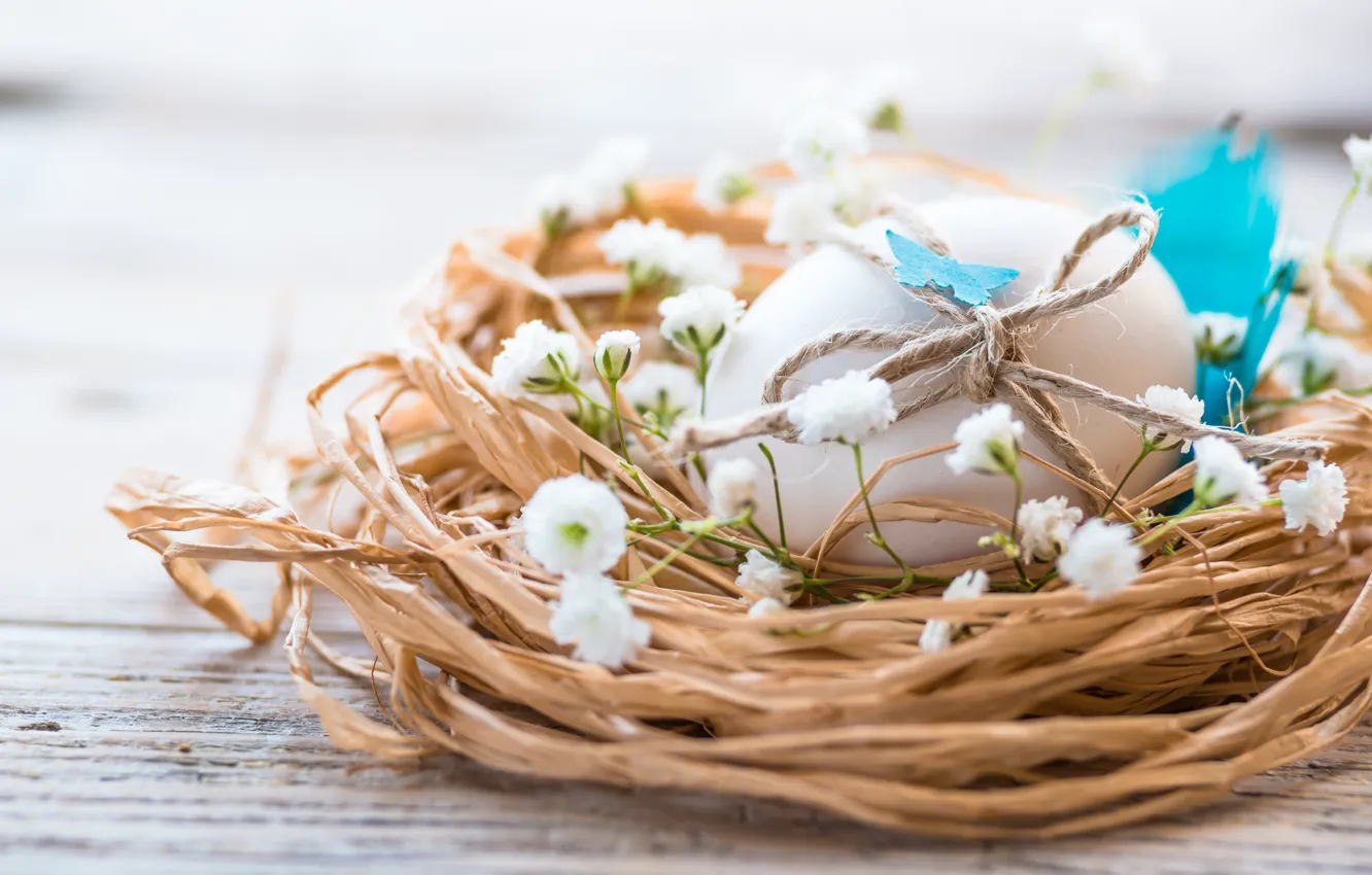 Photo wallpaper flowers, eggs, Easter, socket, flowers, spring, Easter, eggs