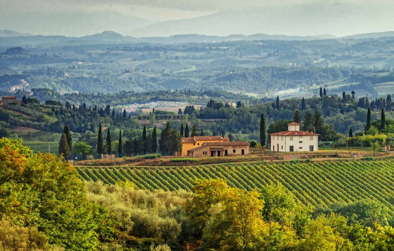 Photo wallpaper trees, field, home, Italy, panorama, plantation, Tuscany, Tuscany
