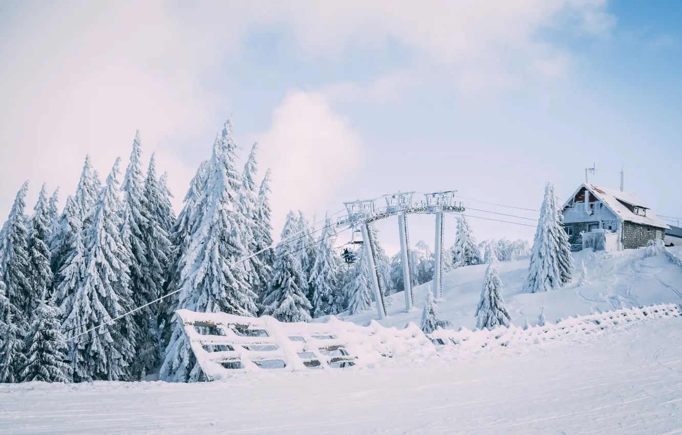 Photo wallpaper winter, frost, field, forest, the sky, clouds, snow, trees