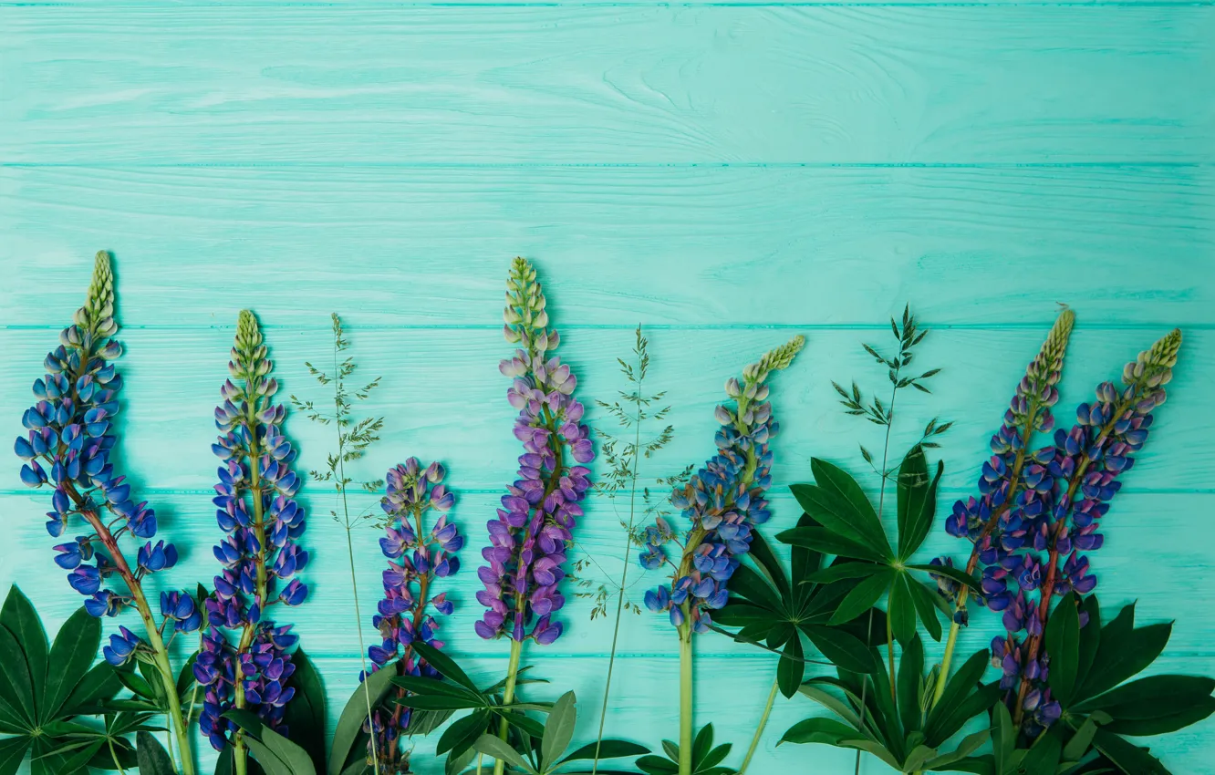 Photo wallpaper flowers, wood, flowers, purple, lupins, lupine
