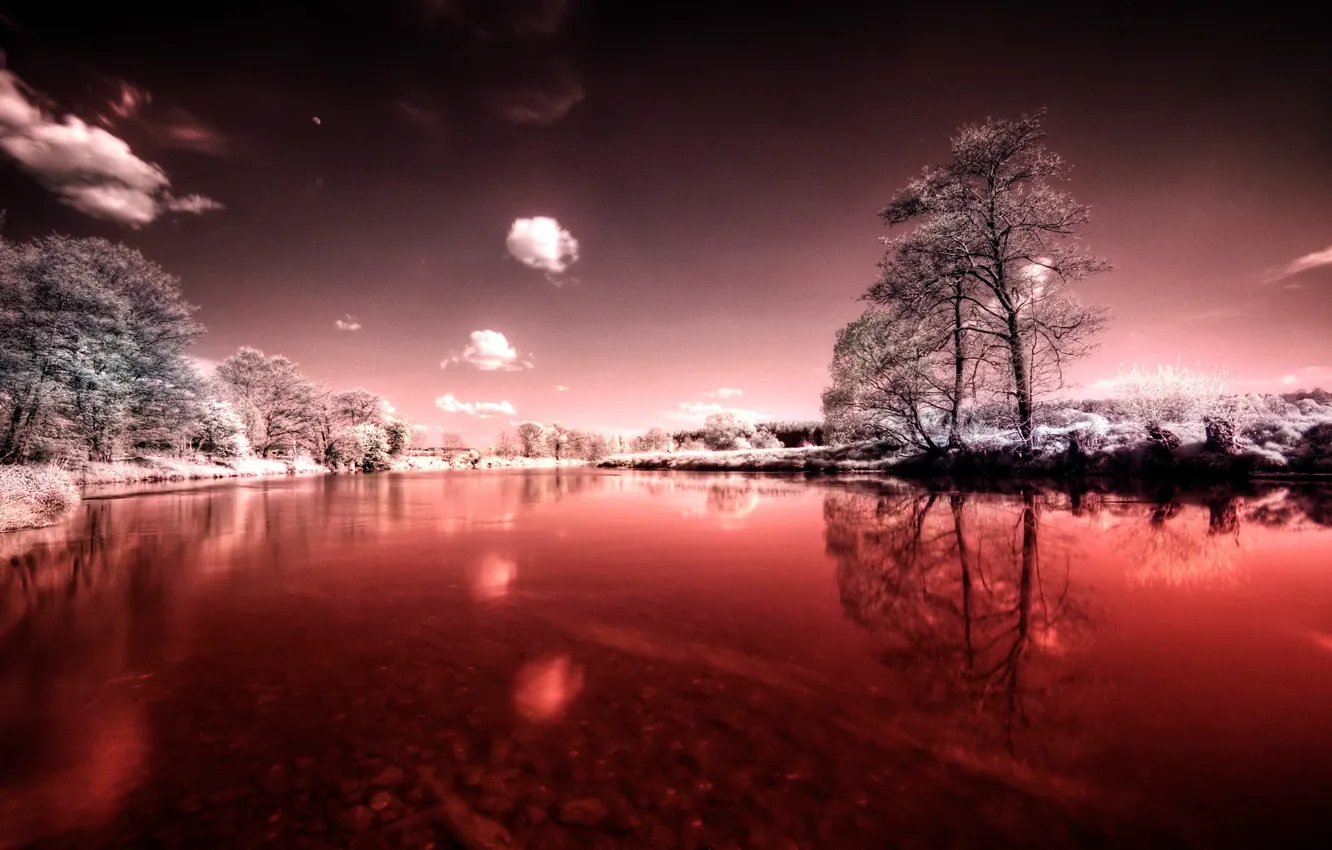 Photo wallpaper winter, summer, the sky, grass, leaves, clouds, snow, trees