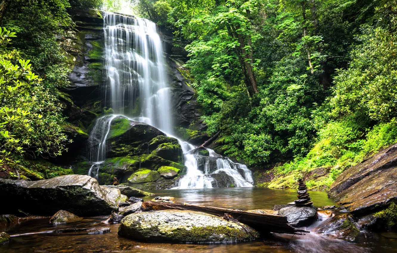 Photo wallpaper forest, water, trees, nature, stones, waterfall
