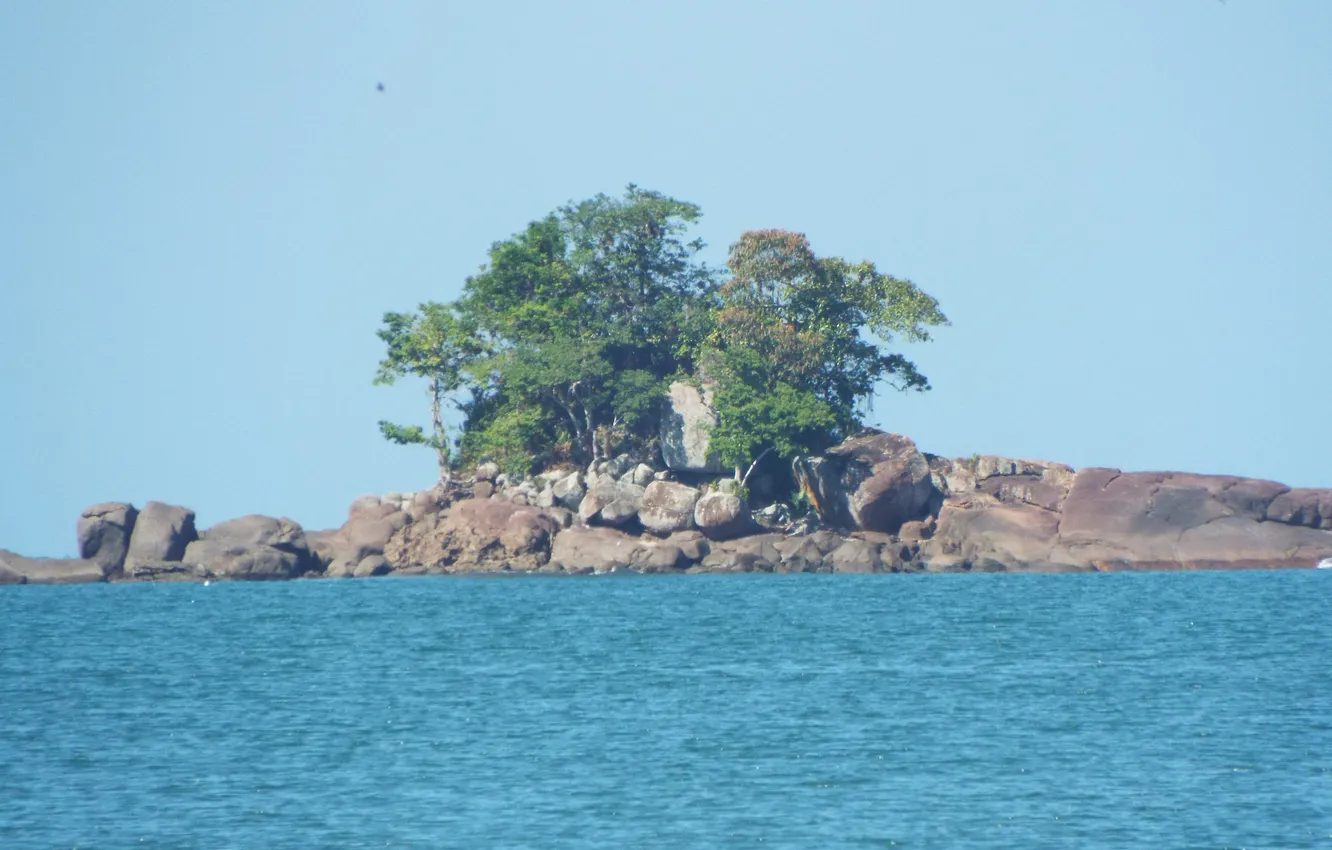 Photo wallpaper trees, sea, ocean, Brazil, Rock Island, Ubatuba City