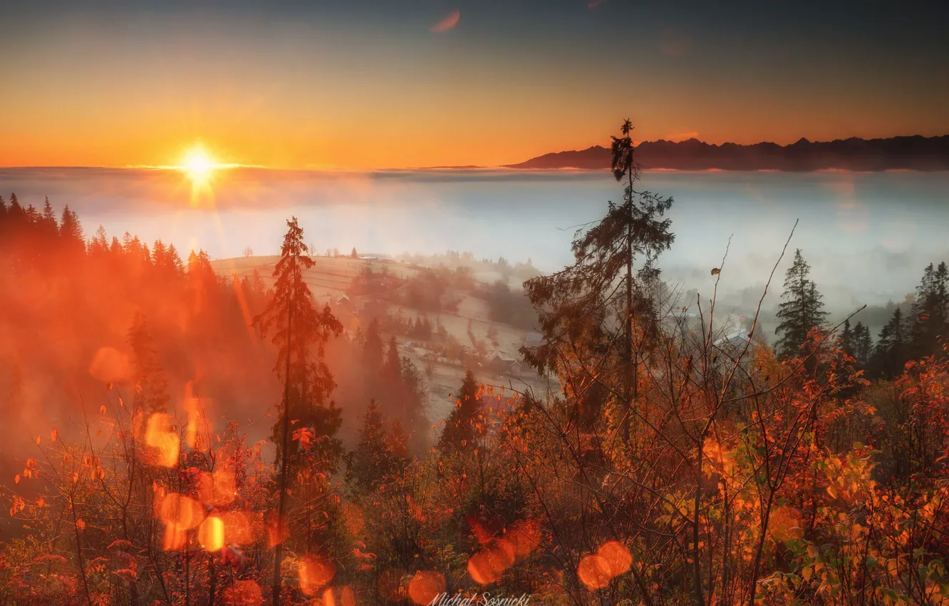 Photo wallpaper autumn, the sun, landscape, nature, fog, dawn, morning, valley