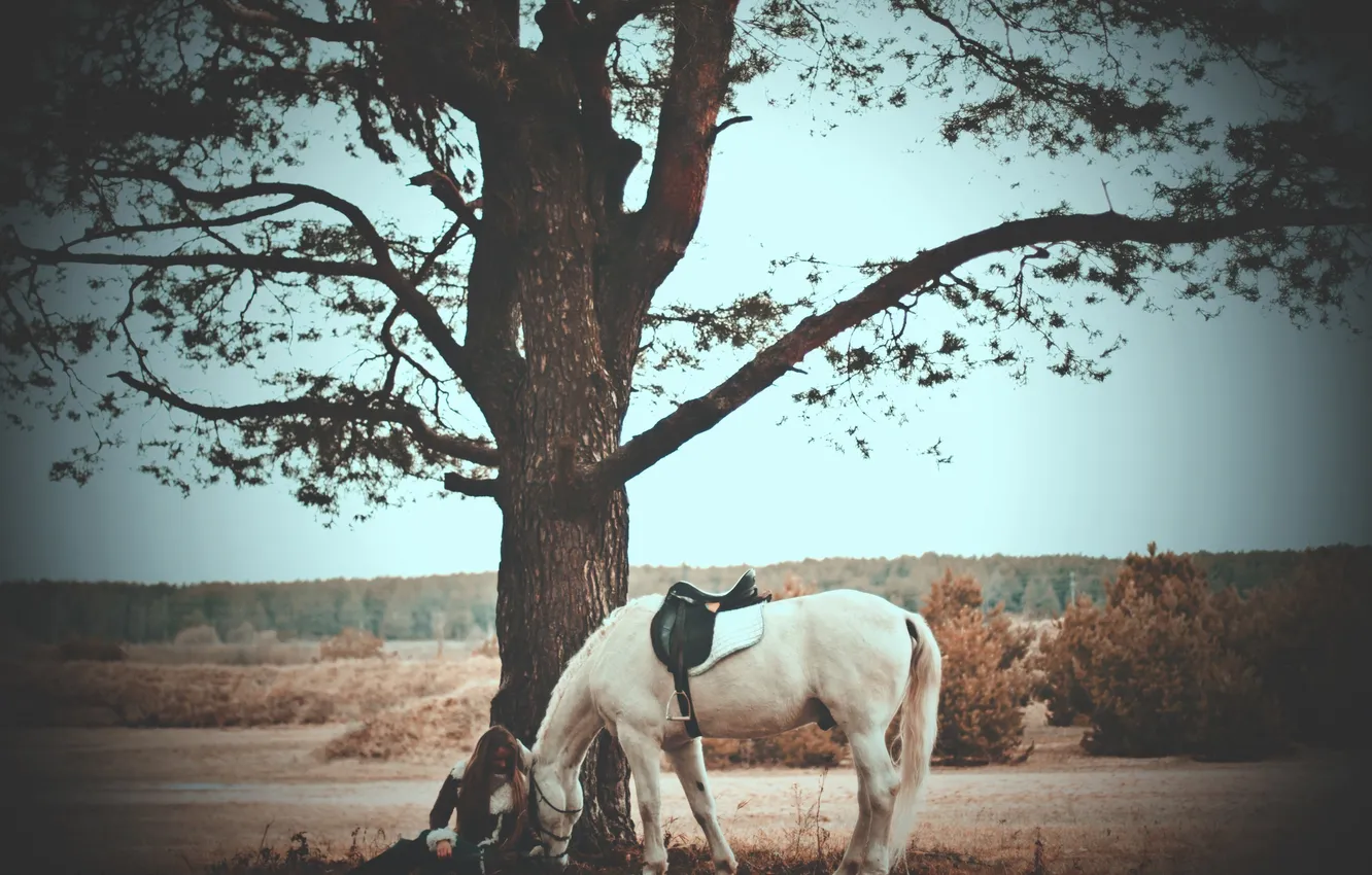 Photo wallpaper girl, trees, horse