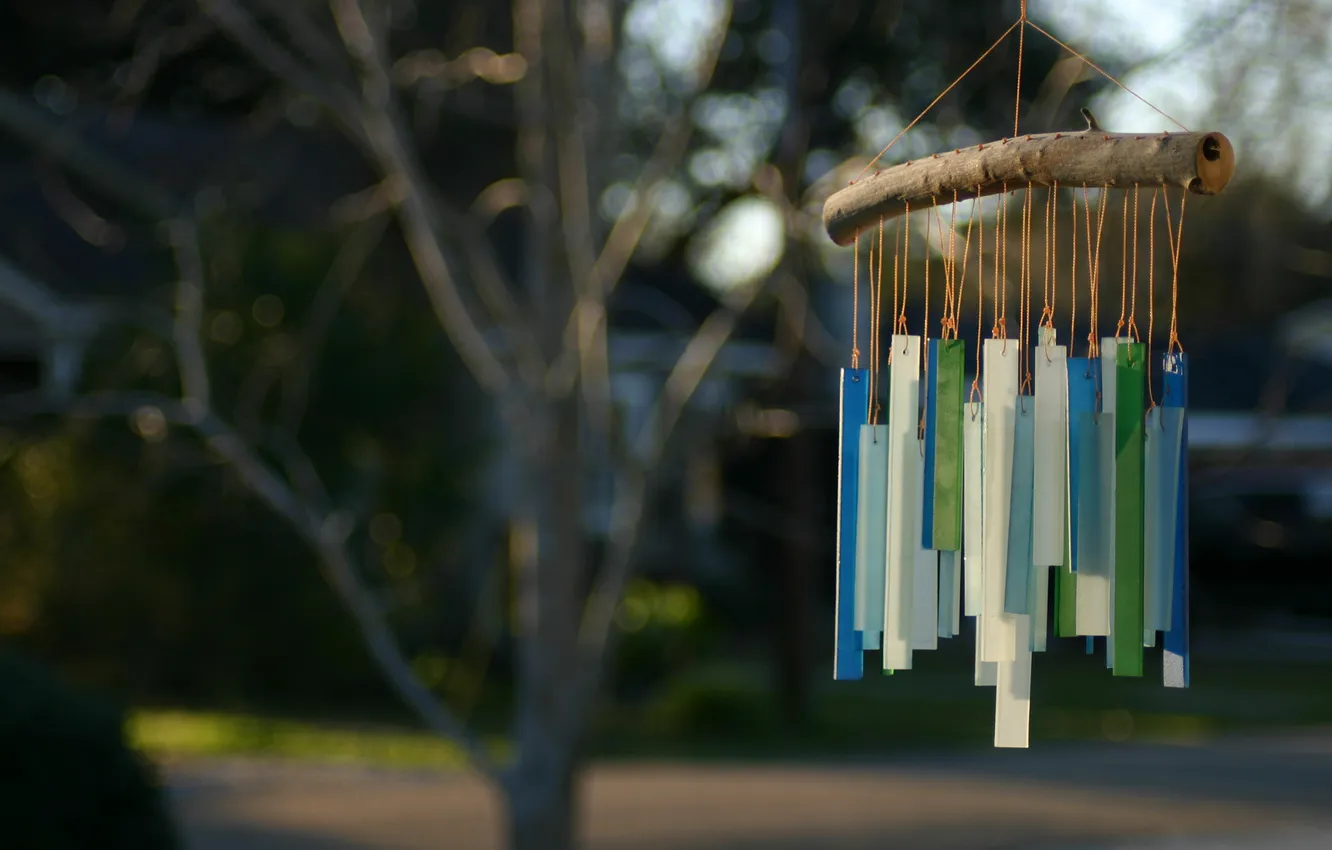 Photo wallpaper focus, thread, ribbon, stick