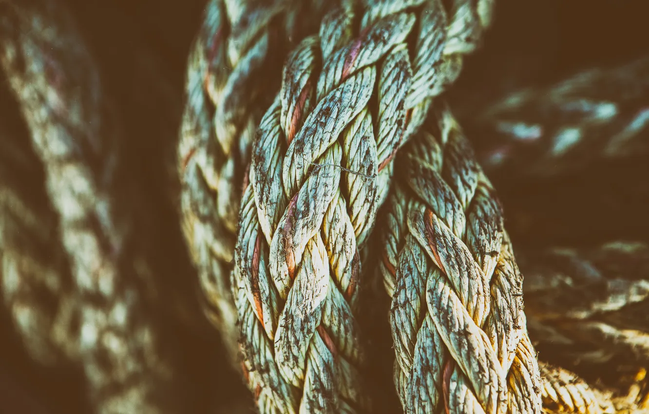 Photo wallpaper rope, Old, Texture, Rope