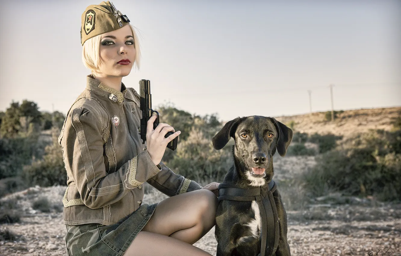 Photo wallpaper girl, gun, dog