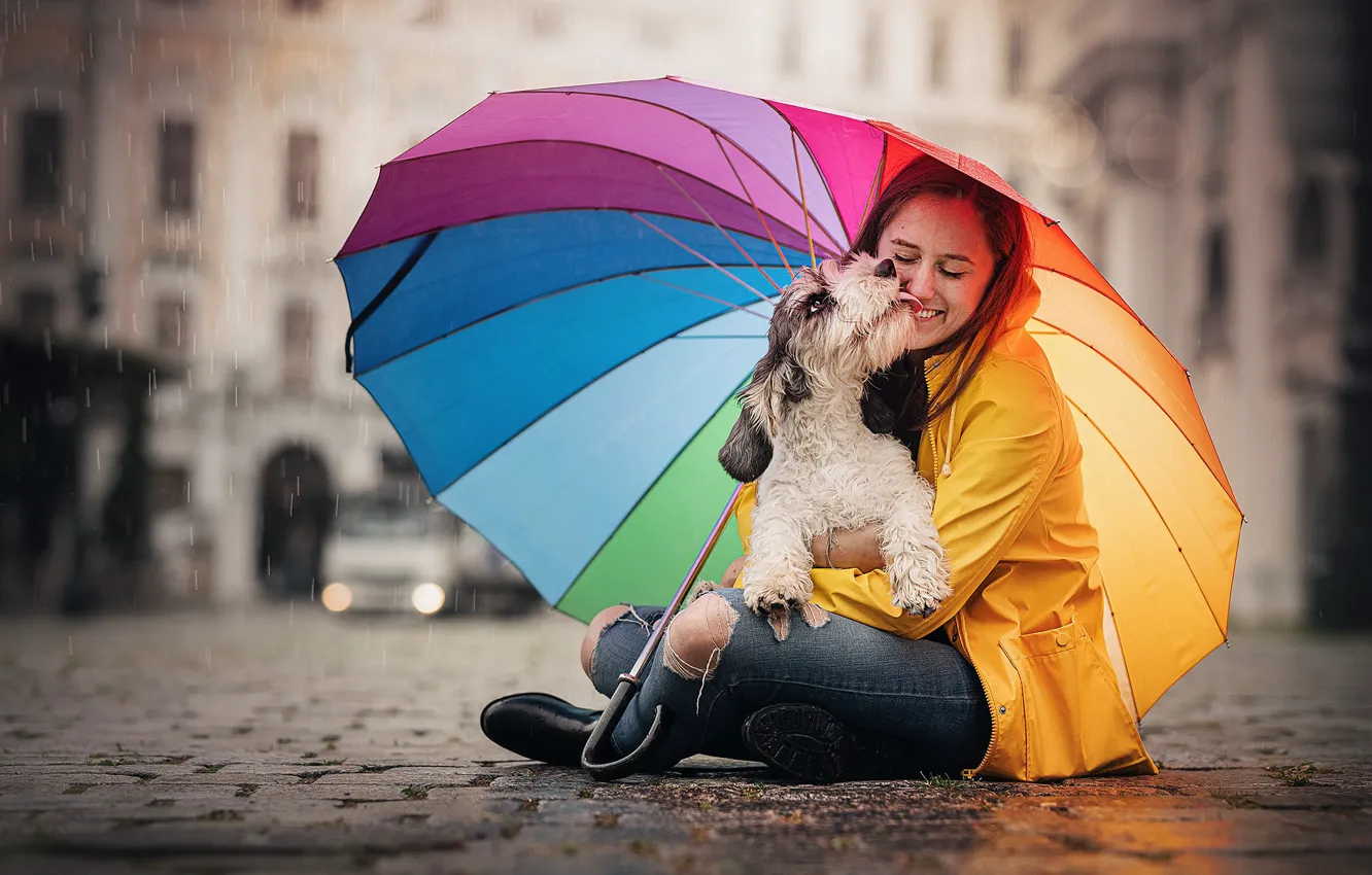Photo wallpaper girl, dog, umbrella