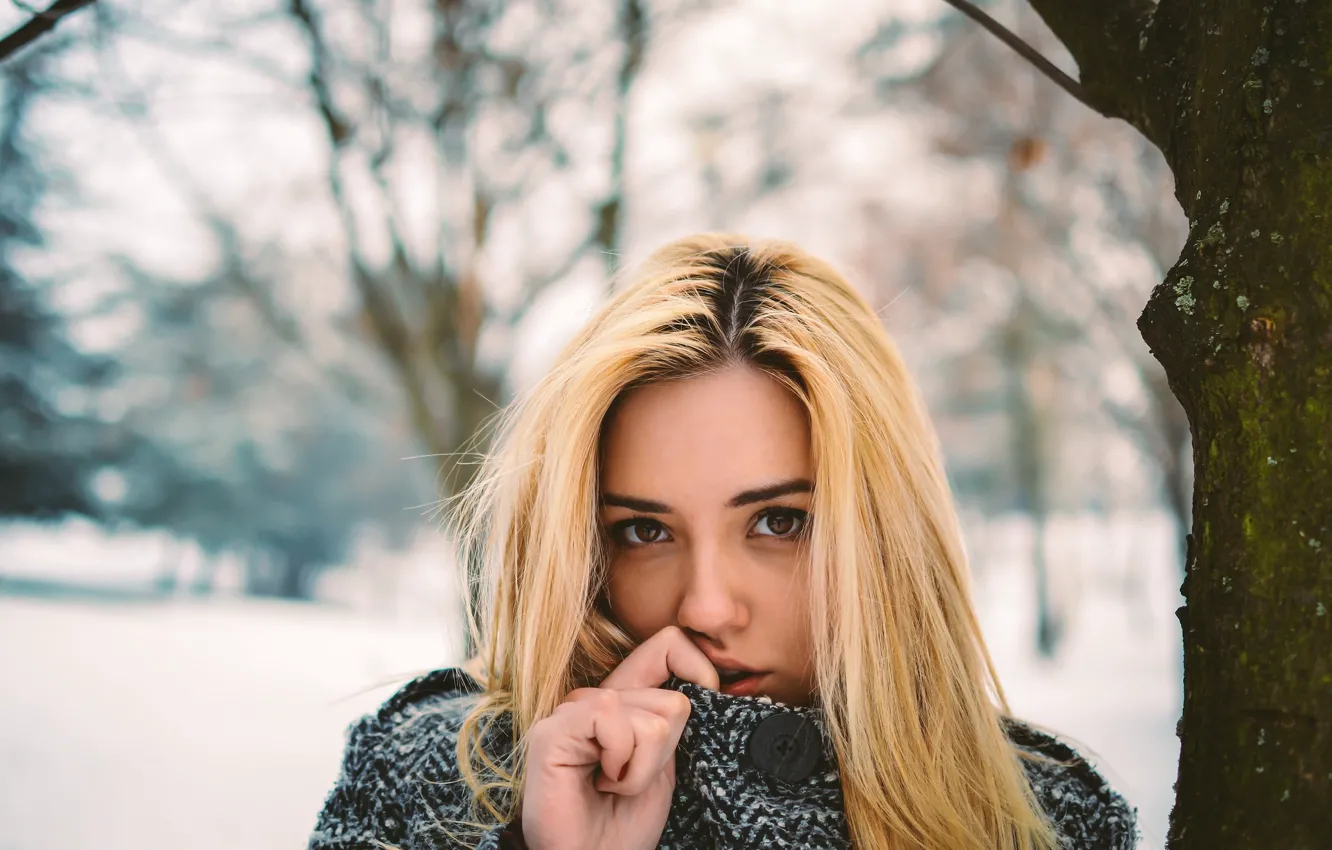 Photo wallpaper winter, look, girl, portrait