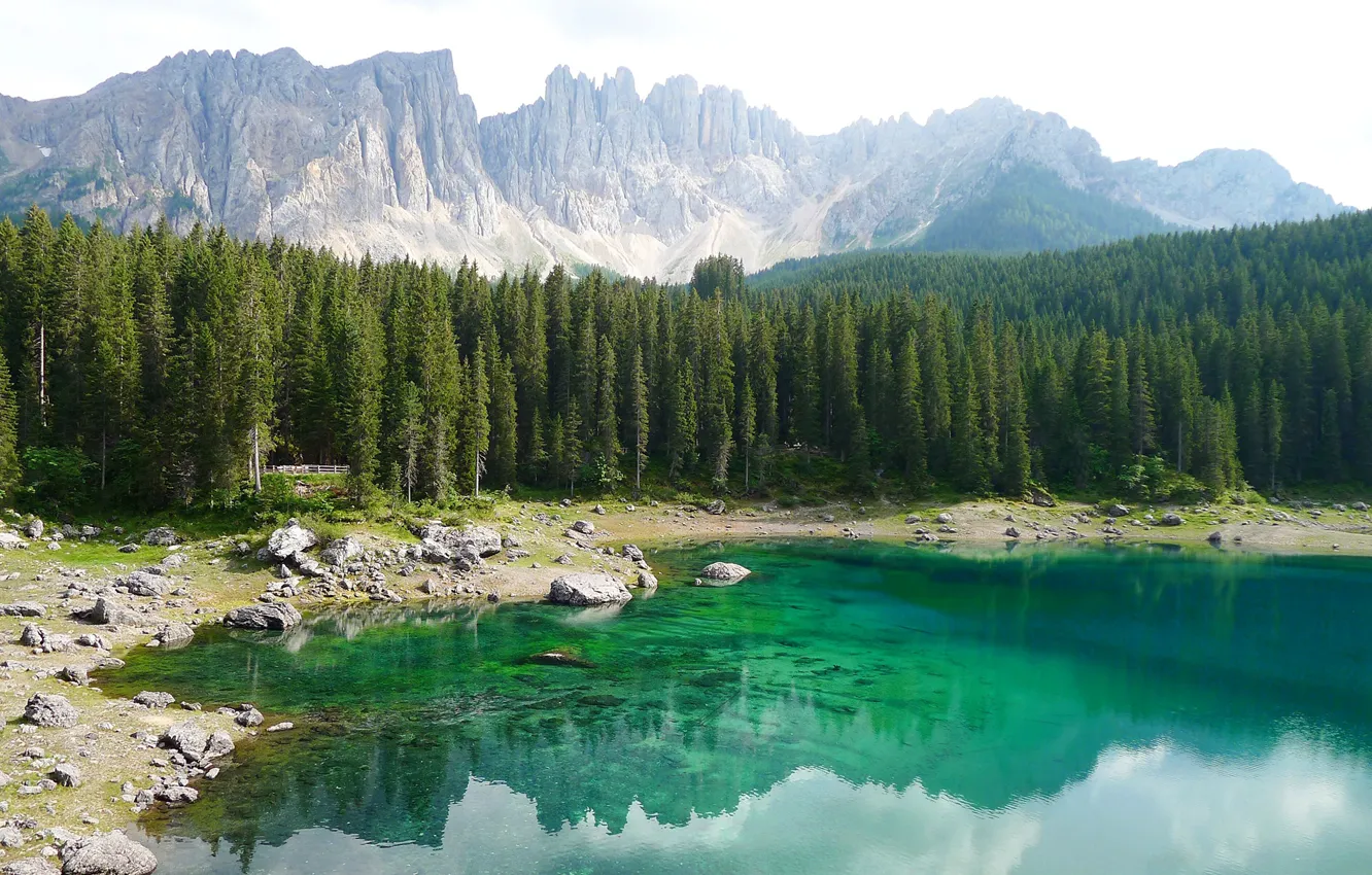 Photo wallpaper forest, trees, mountains, lake, stones, rocks, shore, Italy