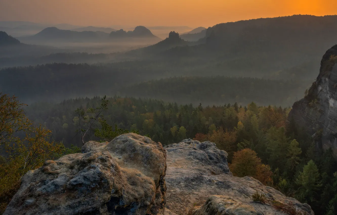Photo wallpaper autumn, forest, the sky, trees, mountains, nature, fog, stones
