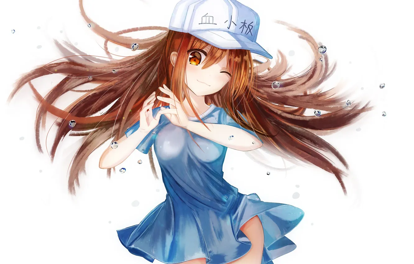 Photo wallpaper dedeko, hataraku saibou, platelet