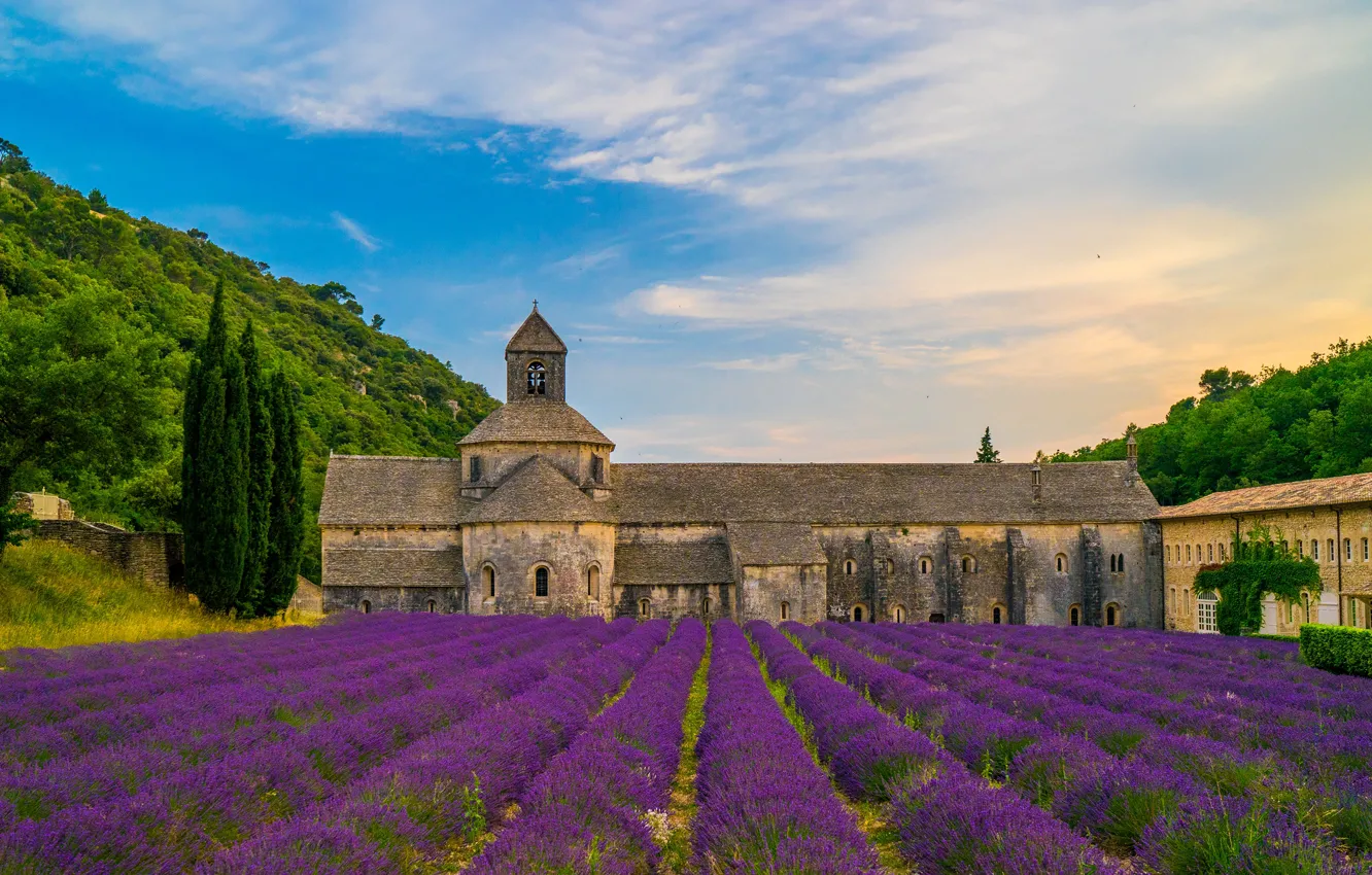 Photo wallpaper field, the sky, clouds, trees, mountains, France, the monastery, lavender