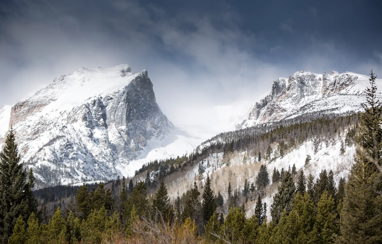Photo wallpaper winter, forest, snow, mountains, nature, Hallett Peak