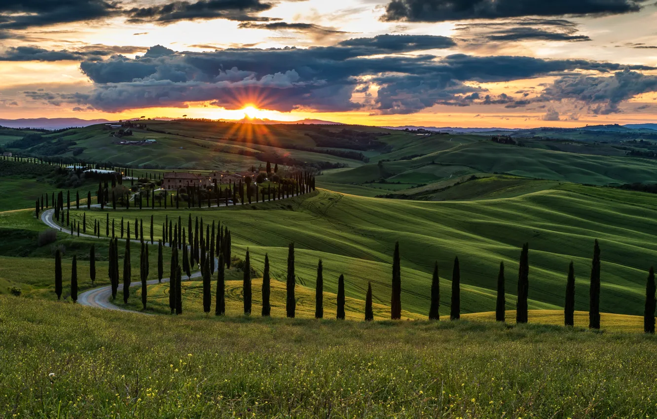Photo wallpaper road, greens, field, the sky, the sun, clouds, rays, trees