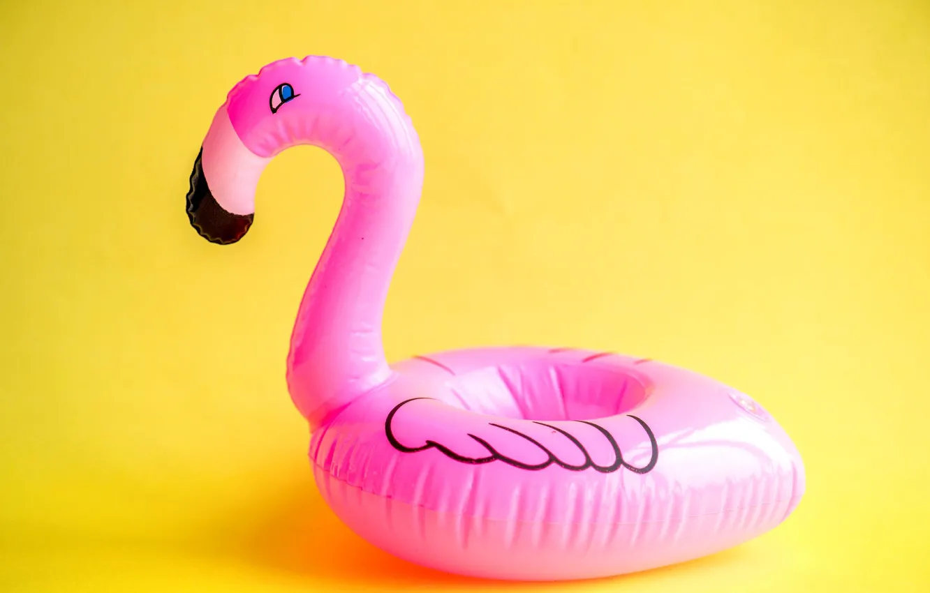 Photo wallpaper background, round, Flamingo